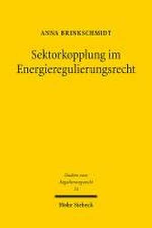 Sektorkopplung im Energieregulierungsrecht de Anna Brinkschmidt