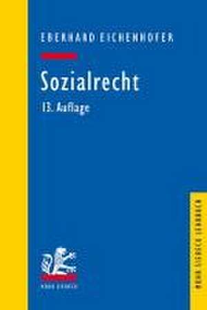 Sozialrecht de Eberhard Eichenhofer