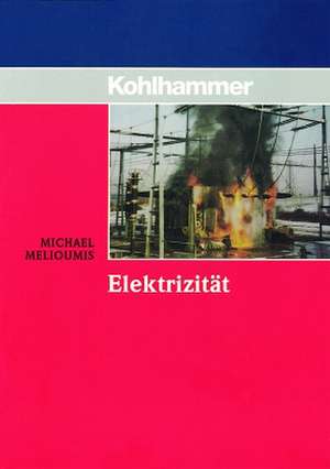 Elektrizität de Michael Melioumis