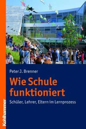 Wie Schule Funktioniert: Schuler, Lehrer, Eltern Im Lernprozess de Peter J. Brenner