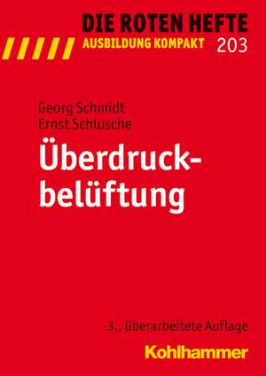 Uberdruckbeluftung: Ein Globaler Uberblick de Georg Schmidt