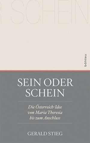 Sein oder Schein de Gerald Stieg