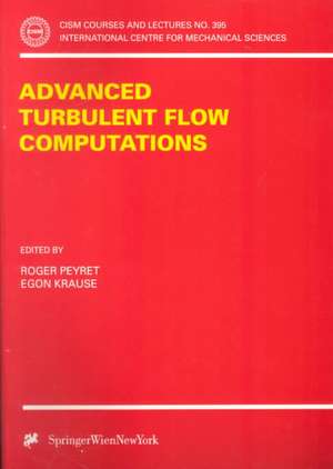 Advanced Turbulent Flow Computations de Roger Peyret