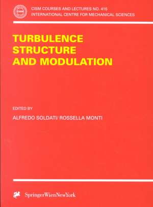 Turbulence Structure and Modulation de Alfredo Soldati