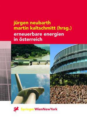 Erneuerbare Energien in Österreich: Systemtechnik, Potenziale, Wirtschaftlichkeit, Umweltaspekte de Jürgen Neubarth