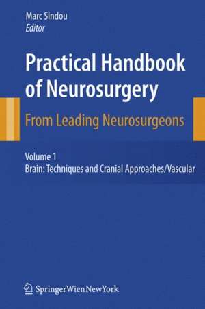 Practical Handbook of Neurosurgery: From Leading Neurosurgeons de Marc Sindou