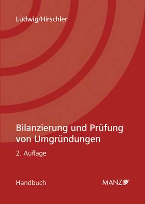 Bilanzierung und Prüfung von Umgründungen. Österreichisches Recht de Christian Ludwig