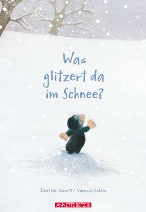 Was glitzert da im Schnee? de Jonathan Emmett