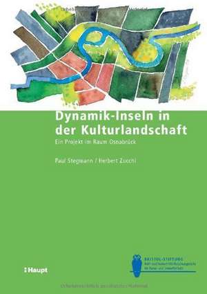 Dynamik-Inseln in der Kulturlandschaft de Paul Stegmann