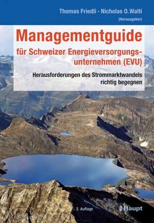 Managementguide für Schweizer Energieversorgungsunternehmen (EVU) de Thomas Friedli