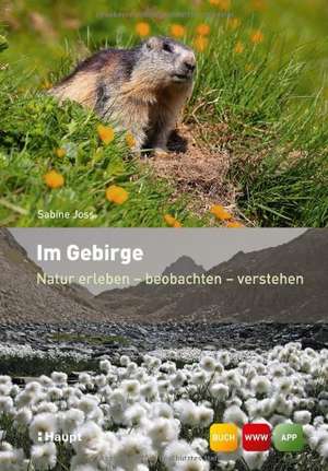 Im Gebirge de Sabine Joss