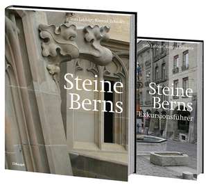 Steine Berns de Toni Labhart