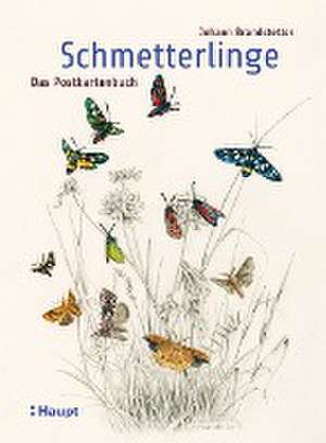 Schmetterlinge - Das Postkartenbuch de Johann Brandstetter