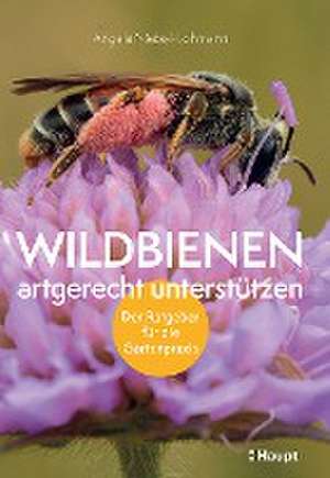 Wildbienen artgerecht unterstützen de Angela Niebel-Lohmann