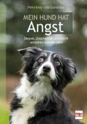 Mein Hund hat Angst de Petra Krivy