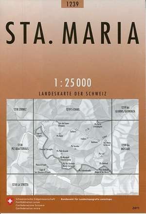 Swisstopo 1 : 25 000 Sta. Maria