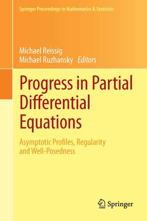 Progress in Partial Differential Equations: Asymptotic Profiles, Regularity and Well-Posedness de Michael Reissig