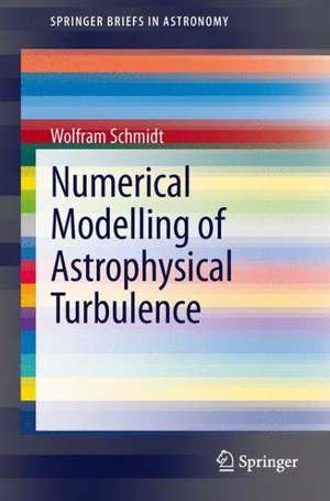 Numerical Modelling of Astrophysical Turbulence de Wolfram Schmidt