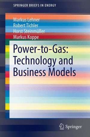 Power-to-Gas: Technology and Business Models de Markus Lehner