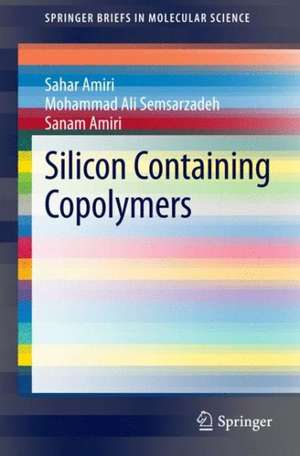 Silicon Containing Copolymers de Sahar Amiri