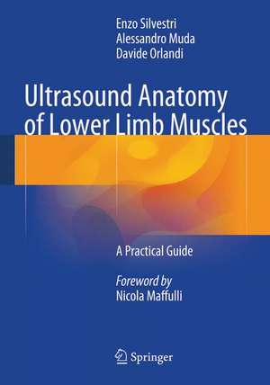 Ultrasound Anatomy of Lower Limb Muscles: A Practical Guide de Enzo Silvestri