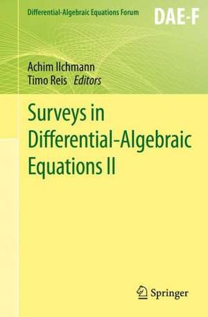 Surveys in Differential-Algebraic Equations II de Achim Ilchmann