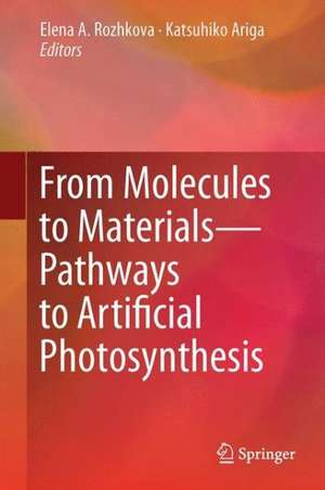 From Molecules to Materials: Pathways to Artificial Photosynthesis de Elena A. Rozhkova