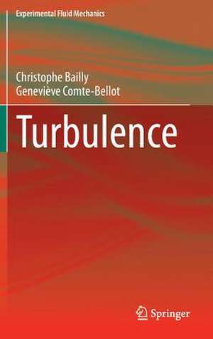 Turbulence de Christophe Bailly