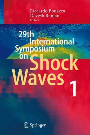 29th International Symposium on Shock Waves 1: Volume 1 de Riccardo Bonazza