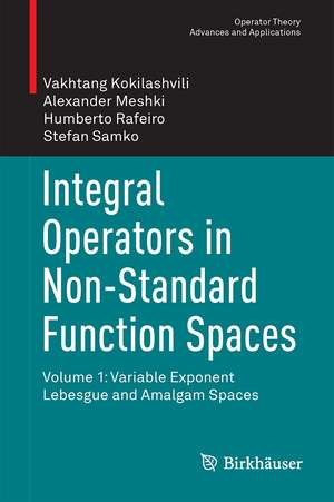 Integral Operators in Non-Standard Function Spaces de Vakhtang Kokilashvili