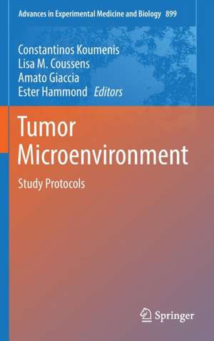 Tumor Microenvironment: Study Protocols de Constantinos Koumenis