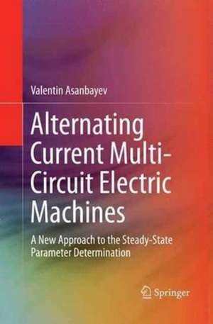 Alternating Current Multi-Circuit Electric Machines: A New Approach to the Steady-State Parameter Determination de Valentin Asanbayev