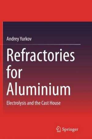 Refractories for Aluminium: Electrolysis and the Cast House de Andrey Yurkov