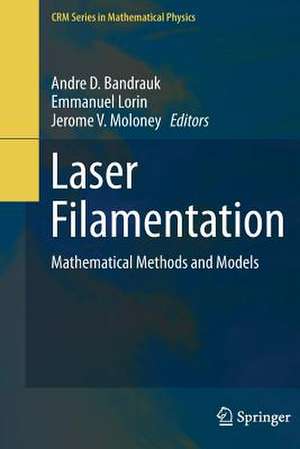 Laser Filamentation: Mathematical Methods and Models de Andre D. Bandrauk