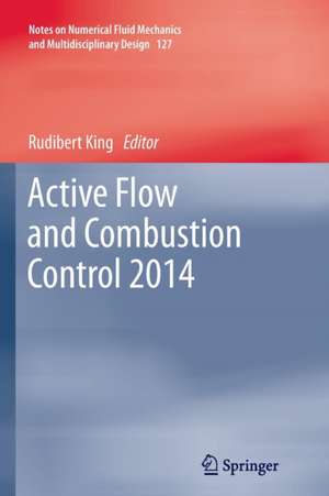 Active Flow and Combustion Control 2014 de Rudibert King