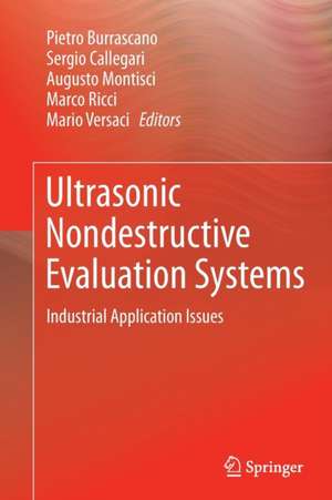Ultrasonic Nondestructive Evaluation Systems de Pietro Burrascano