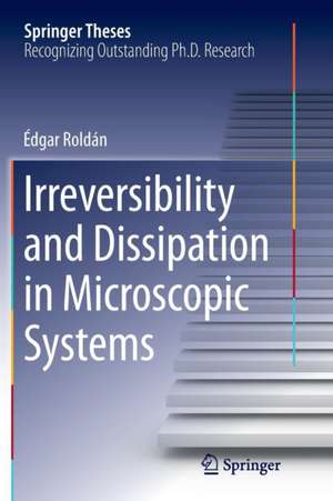 Irreversibility and Dissipation in Microscopic Systems de Édgar Roldán