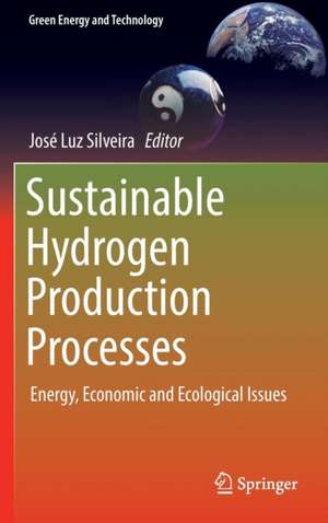 Sustainable Hydrogen Production Processes: Energy, Economic and Ecological Issues de José Luz Silveira