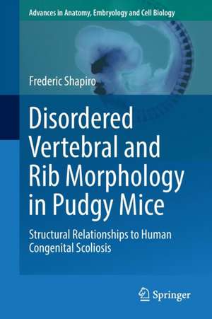 Disordered Vertebral and Rib Morphology in Pudgy Mice: Structural Relationships to Human Congenital Scoliosis de Frederic Shapiro