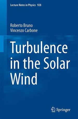 Turbulence in the Solar Wind de Roberto Bruno