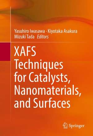 XAFS Techniques for Catalysts, Nanomaterials, and Surfaces de Yasuhiro Iwasawa