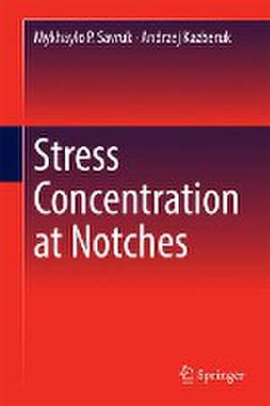 Stress Concentration at Notches de Mykhaylo P. Savruk