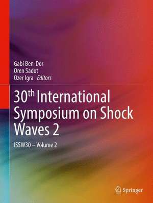 30th International Symposium on Shock Waves 2: ISSW30 - Volume 2 de Gabi Ben-Dor