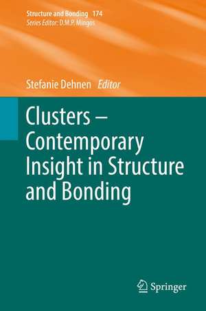 Clusters – Contemporary Insight in Structure and Bonding de Stefanie Dehnen