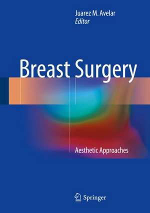 Breast Surgery: Aesthetic Approaches de Juarez M. Avelar