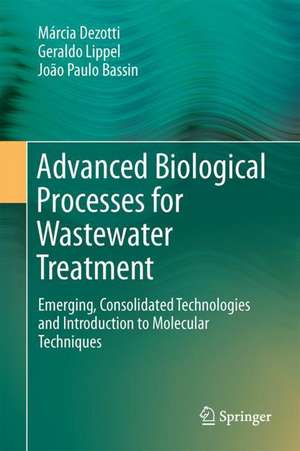 Advanced Biological Processes for Wastewater Treatment: Emerging, Consolidated Technologies and Introduction to Molecular Techniques de Márcia Dezotti