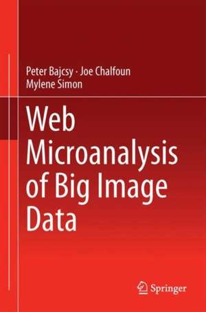 Web Microanalysis of Big Image Data de Peter Bajcsy