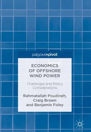 Economics of Offshore Wind Power: Challenges and Policy Considerations de Rahmatallah Poudineh