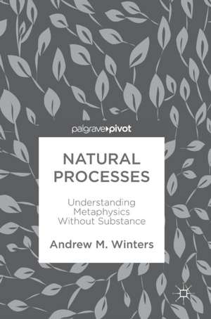 Natural Processes: Understanding Metaphysics Without Substance de Andrew M. Winters