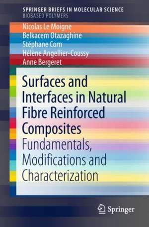 Surfaces and Interfaces in Natural Fibre Reinforced Composites: Fundamentals, Modifications and Characterization de Nicolas Le Moigne